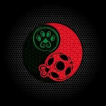 ~MIRACULOUS FAN GRUPPE~