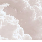 - Maisie’s boutique -