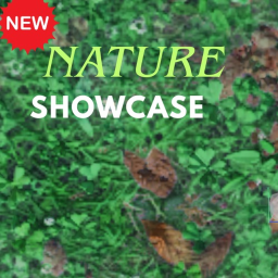 Nature ShowCase(ALPHA)