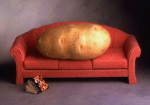 Potato Couchers