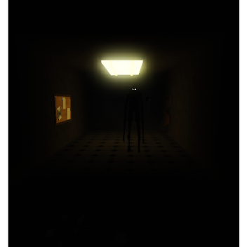 Wander [TEST]