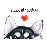 iLoveHusky