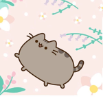 PUSHEEN >:3