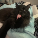 muahahahahahahaha