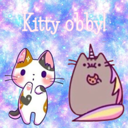 Kitty obby!