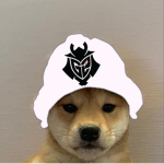 芝ギャング:)