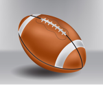 SEAHAWKS RULE!!!