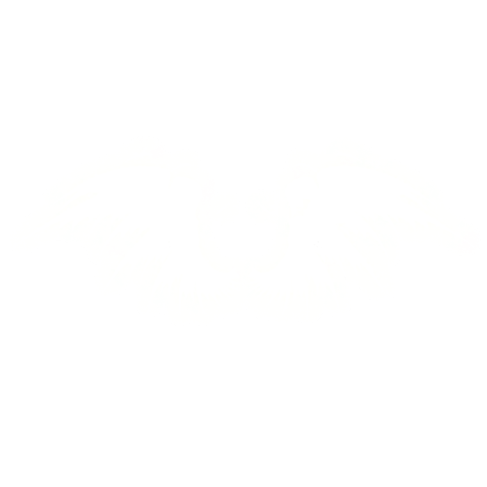 Glowing White Angel Wings (Emissive)