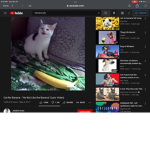 The Offical Banana Fan Group
