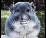 demi$ee