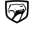 Vipers Football Club