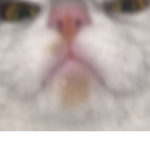 | L0nely V1bing |