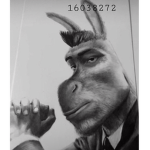 ebkpnw
