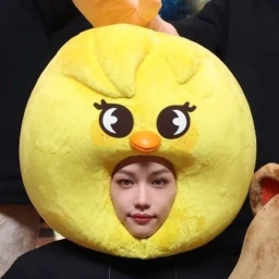 🐥 icon