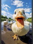 Goose Nation.