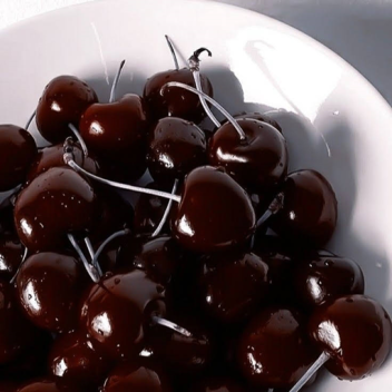 ✘﹕𝐍𝐎𝐓𝐇𝐈𝐍𝐆'𝐒 𝐍𝐄𝐖