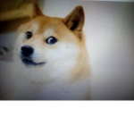 If you join this group you will have to love dogs