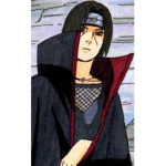 The Shinobi.
