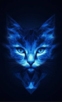 the cat empire group