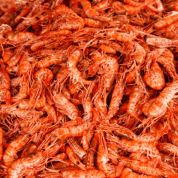 eat all 3000 prawn