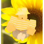 Sunnay