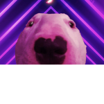 JoeyDaBoss26
