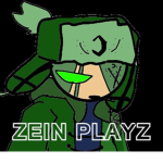 zein playz