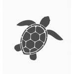 Turtle squad group