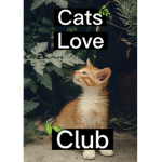 Cats_love50