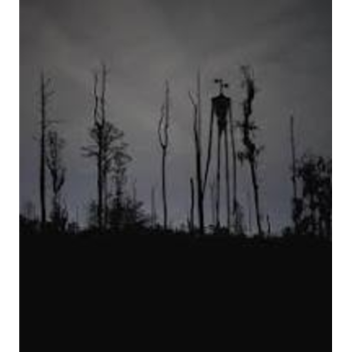 siren head survival and rp