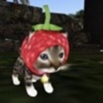 homicaIs