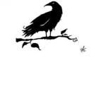 Black Crowe