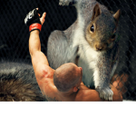 Hunters of the Wild