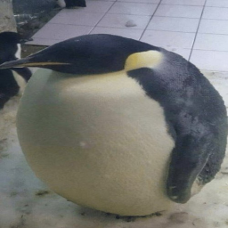 IM DA BIGGEST BIRD