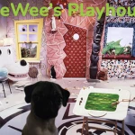 PW’s Playhouse Group Thumbnail