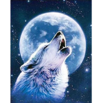 ~Galaxy Wolves Hangout~