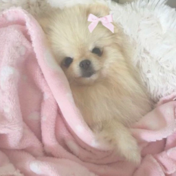 🎀