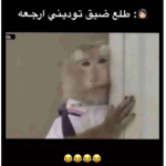 Igdyft
