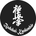 Budokai Kyokushin