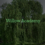 The Willow Academy
