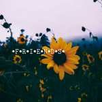 • F-R-I-E-N-D-S •
