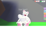 spy bears!