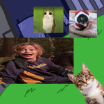 Catt’s Creations!