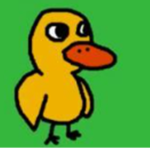 The Really Silly Ducks