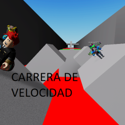 Carera de velocidad