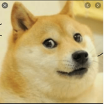Doge group and eggy and bacon