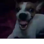 Robux rubux..