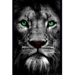 GRUPO BN