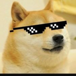 #Ultimate Doge Fan Group