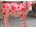 COW CLUB COWS RULE